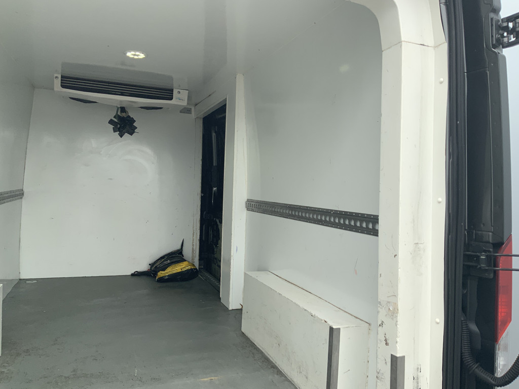 46244196-15.jpg